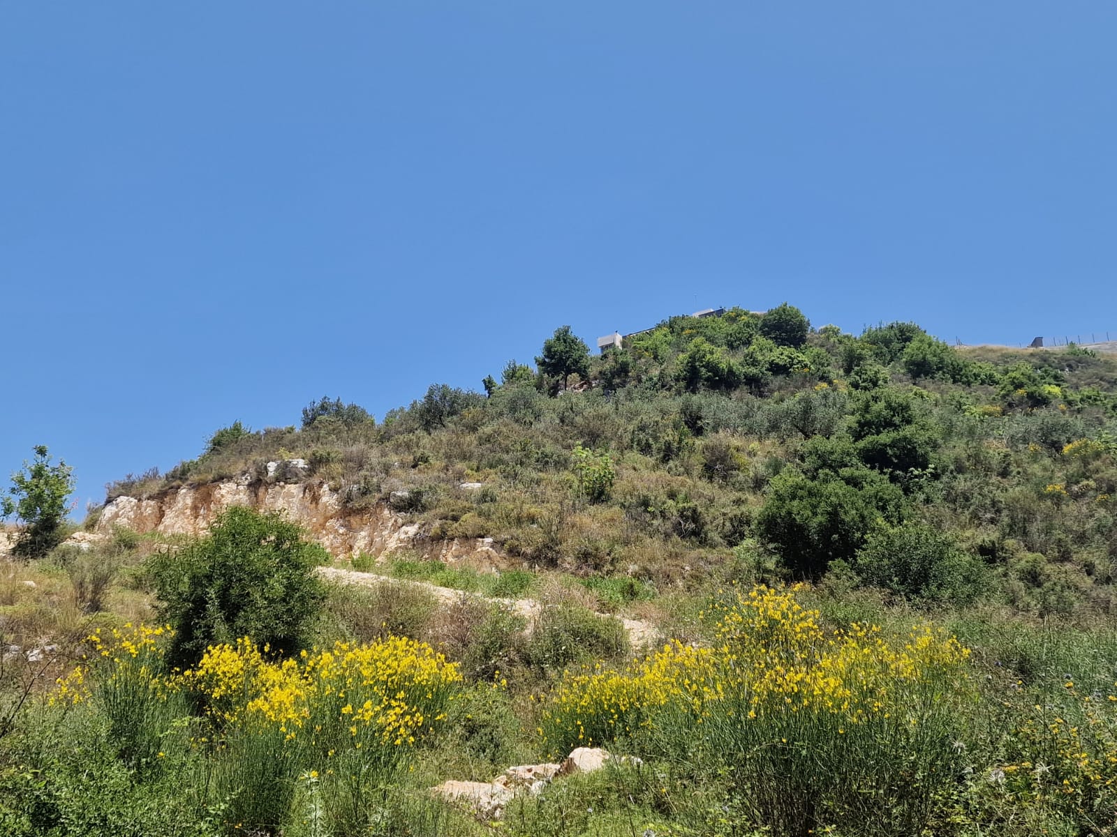 Land For Sale In Bijdarfel Batroun JSK Real Estate land-for-sale-in-bijdarfel-batroun-jsk-real-estate